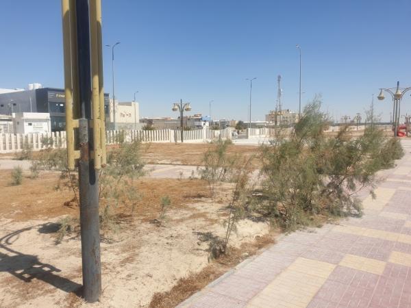 حدائق «العيون».. «متنفس» يخنقه الإهمال