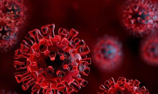 إصابات كورونا حول العالم ترتفع لـ 117 مليون حالة