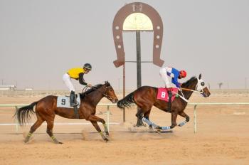 «مزهبه» يطير بكأس الحفل العشرون لفروسية الأحساء