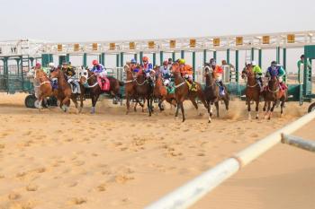 «مزهبه» يطير بكأس الحفل العشرون لفروسية الأحساء