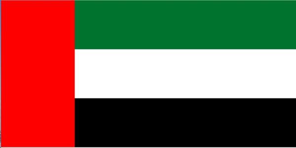 الإمارات: الوقوف مع المملكة صفا واحدا