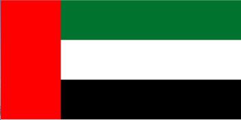 الإمارات: الوقوف مع المملكة صفا واحدا