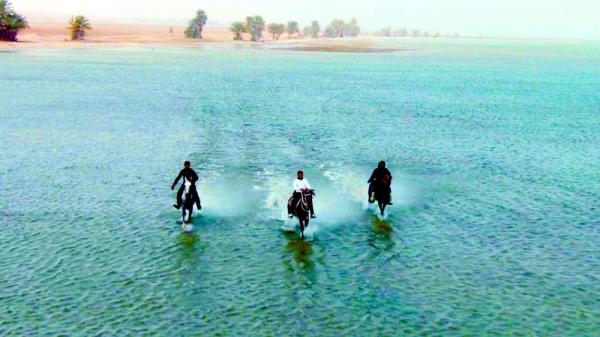 «سفاري».. رحلات تستكشف معالم الأحساء