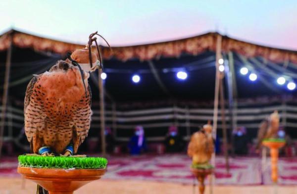 «هدد».. نهج وطني متطور لحماية الصقور