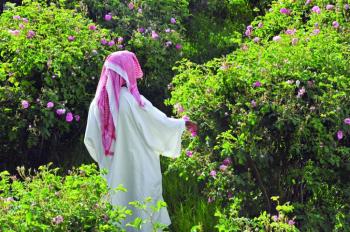 «الهدا».. تفوح بشذى الورد الطائفي