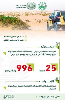 ضبط 25 مخالفًا لنظام البيئة لارتكابهم مخالفات رعي