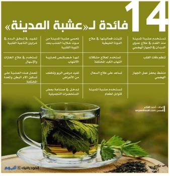 14 فائدة لـ«عشبة المدينة»