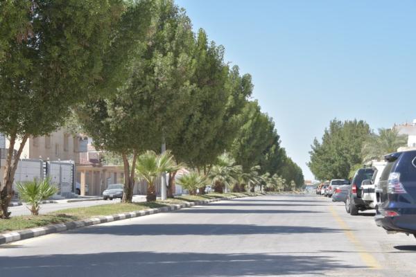 استكمال ضم الخدمات البلدية في «الراكة»