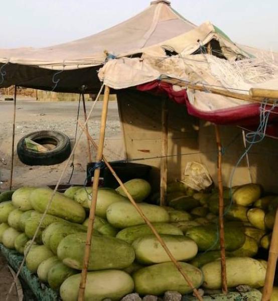 إزالة مخيمات بيع مواد غذائية في مكة 