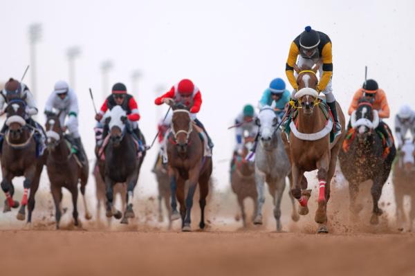 كأس المؤسس ينطلق اليوم بمشاركة 18 جوادا