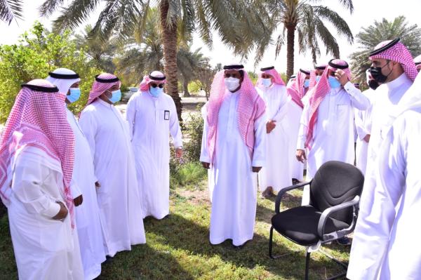 «البيئة لنا ولأجيالنا».. فعاليات لتنمية الغطاء النباتي