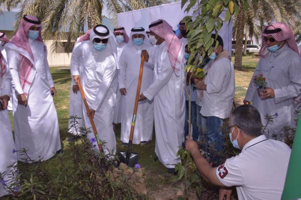 «البيئة لنا ولأجيالنا».. فعاليات لتنمية الغطاء النباتي