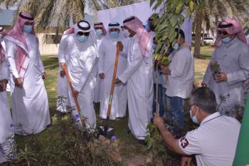 «البيئة لنا ولأجيالنا».. فعاليات لتنمية الغطاء النباتي