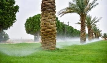 بقيق.. تأهيل 5 حدائق وزراعة 800 شجرة