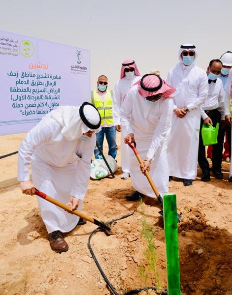 تشجير مناطق زحف الرمال على طريق «الدمام الرياض»