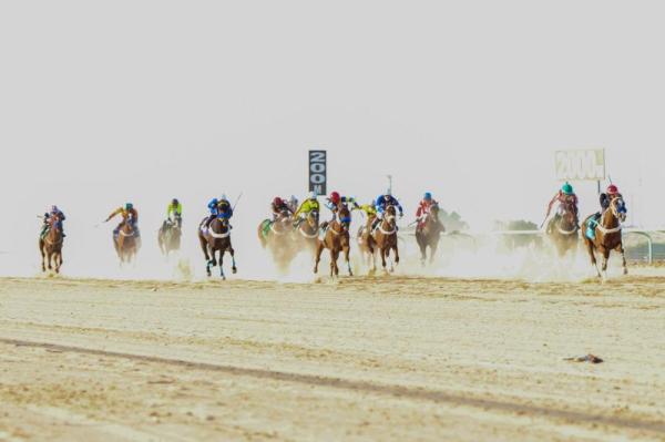 «مزهبة» تطير بلقب الحفل 23 لفروسية الأحساء