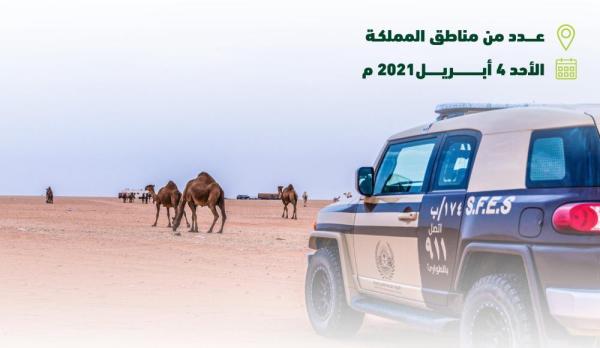 توقيف 61 شخصا ارتكبوا مخالفات رعي