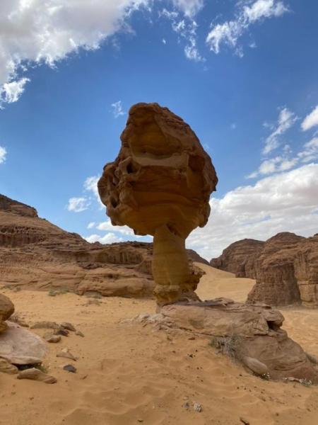 العلا.. «مشهد خالد» يلتقي فيه التاريخ والمستقبل