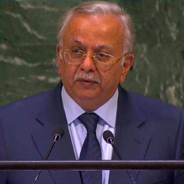 «المعلمي» يستعرض جهود المملكة في عدد من المجالات