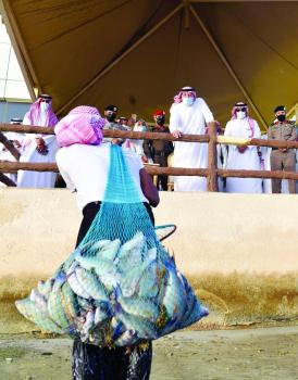 صيد الحريد.. موروث شعبي ومستقبل سياحي واعد