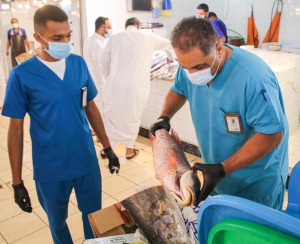 بالصور .. إتلاف أسماك غير صالحة بالدمام