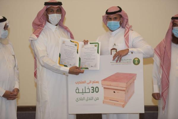 تخريج الدفعة الأولى لـ«تأهيل الشباب بتربية النحل»