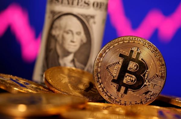 «بتكوين» تهوي لأقل من 50 ألف دولار 