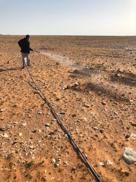 مكافحة أسراب الجراد الأحمر بحفر الباطن