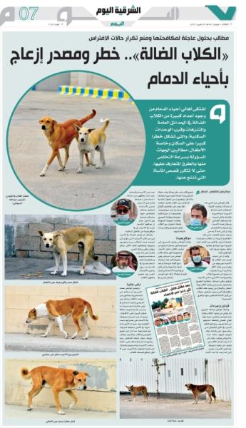 4 جهات تتصدى لخطر الكلاب الضالة