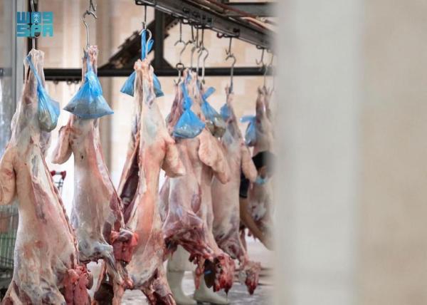 6 آلاف ذبيحة بمسلخ سكاكا