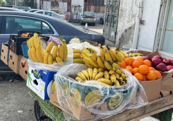 المعابدة.. مصادرة 1350 كيلو «خضروات وفواكه»