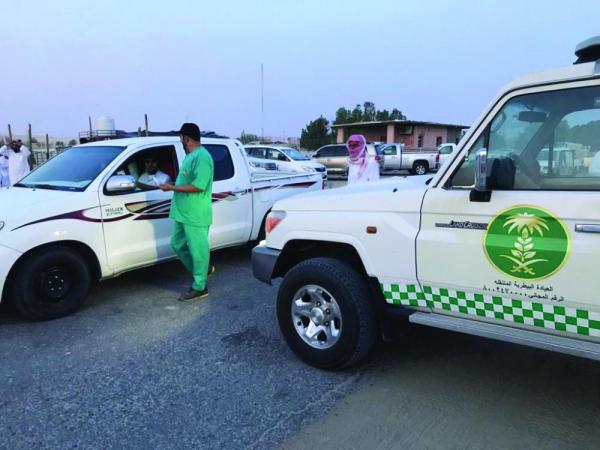 رقابة مكثفة على أسواق الماشية