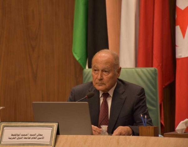 أبوالغيط : تصريحات «شريل وهبة» بعيدة عن اللياقة الدبلوماسية