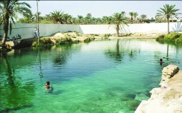 مشروع تطوير لإعادة الحياة إلى العين الجنوبية بصفوى