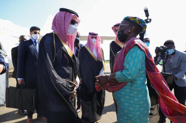 وزير الخارجية يصل تنزانيا في زيارة رسمية
