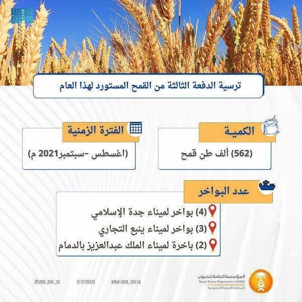مؤسسة الحبوب تنتهي من ترسية الدفعة الثالثة من القمح المستورد