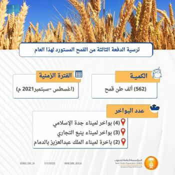 مؤسسة الحبوب تنتهي من ترسية الدفعة الثالثة من القمح المستورد