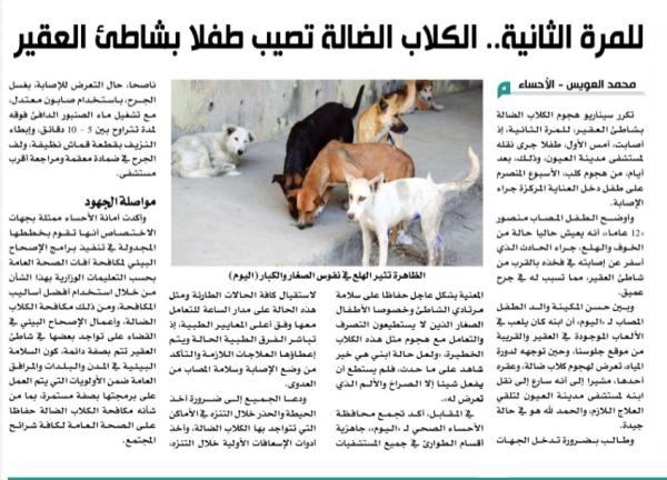 الخطر مستمر .. وفاة طفل متأثرا بنهش الكلاب الضالة