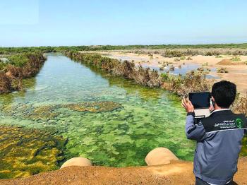 السجن والغرامة ينتظران مفرغي «الصرف» في مشتل
