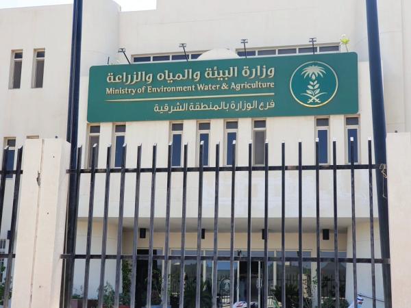 دورة تدريبية لرفع كفاءة «استزراع خيار البحر»