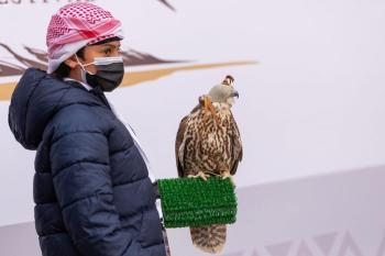 بيع أغلى شاهين في العالم في نادي الصقور السعودي