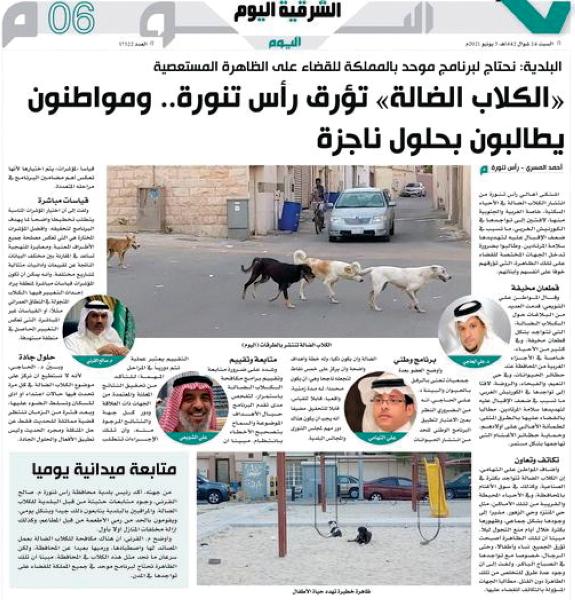 «الكلاب الضالة».. خطر مستمر وحلول غائبة