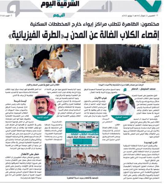 «الكلاب الضالة».. خطر مستمر وحلول غائبة