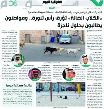 «الكلاب الضالة».. خطر مستمر وحلول غائبة
