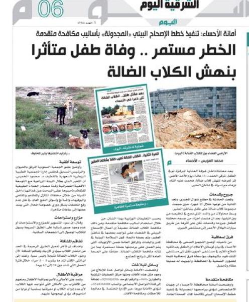 عدوى «الكلاب الضالة» تنتقل إلى شاطئ نصف القمر