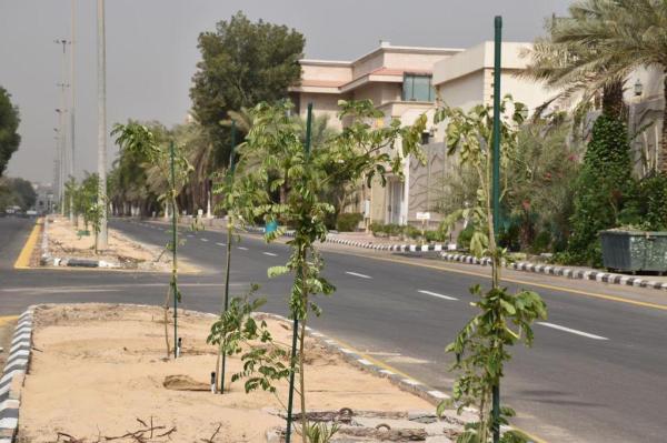 إطلاق مبادرة «أشجارنا مسؤوليتنا» بالخبر