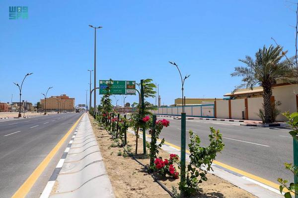 زراعة 2400 شجرة متنوعة برأس تنورة