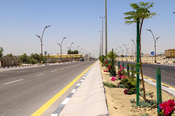 زراعة 2400 شجرة متنوعة برأس تنورة