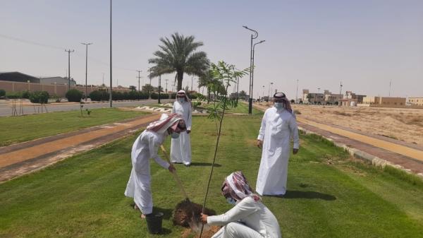 زراعة 1450 شجرة ظل وزينة في اللهابة