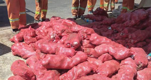 مصادرة نصف طن فواكه وخضراوات «فاسدة»